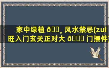 家中绿植 🌸 风水禁忌(zui
旺入门玄关正对大 🐈 门摆件)